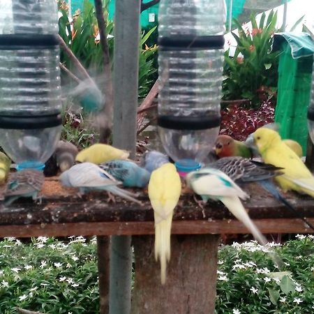 T Garden Villa Pantai Cenang  Exterior foto
