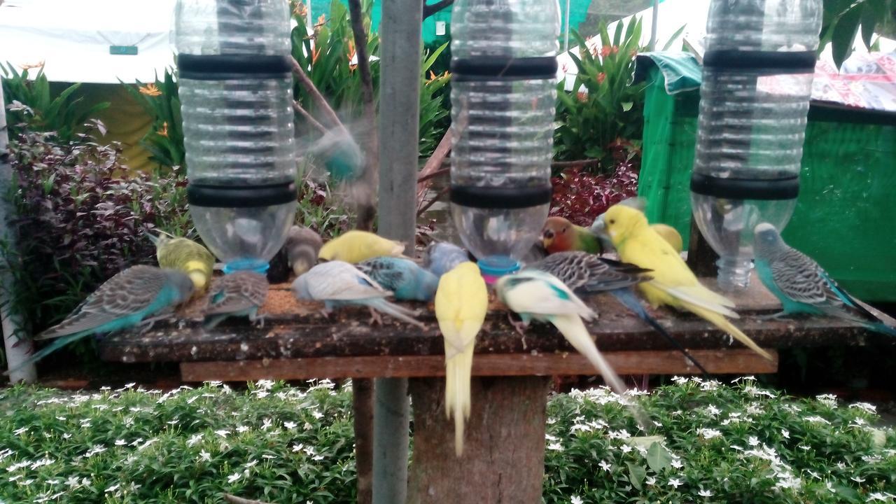 T Garden Villa Pantai Cenang  Exterior foto