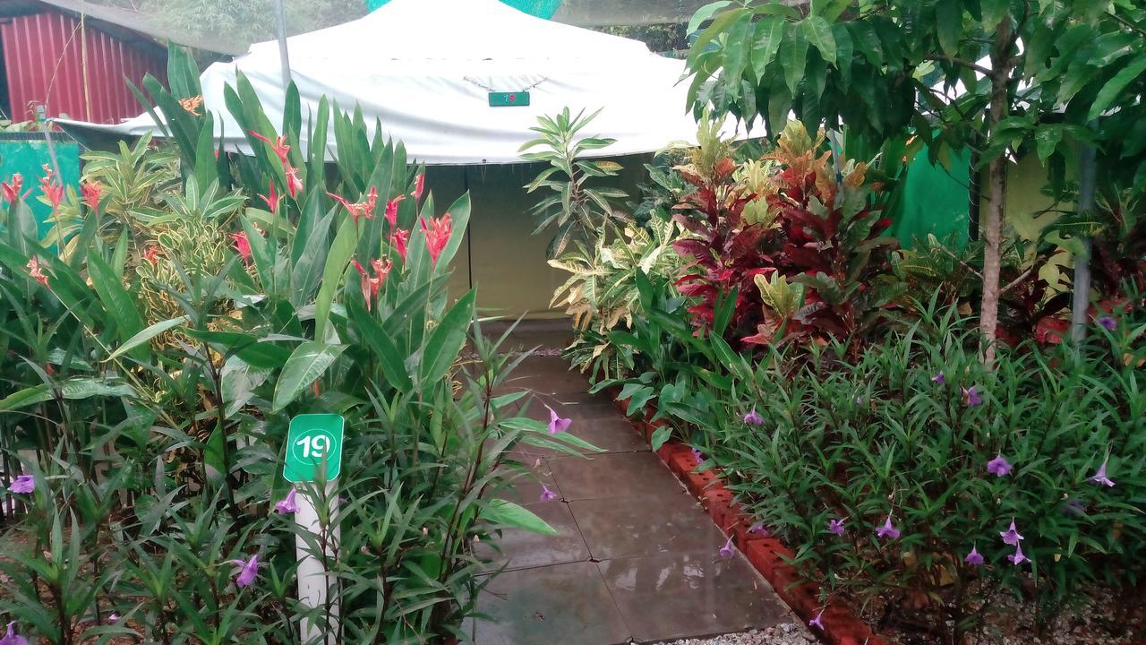 T Garden Villa Pantai Cenang  Exterior foto