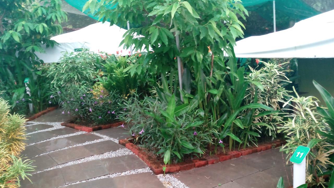 T Garden Villa Pantai Cenang  Exterior foto