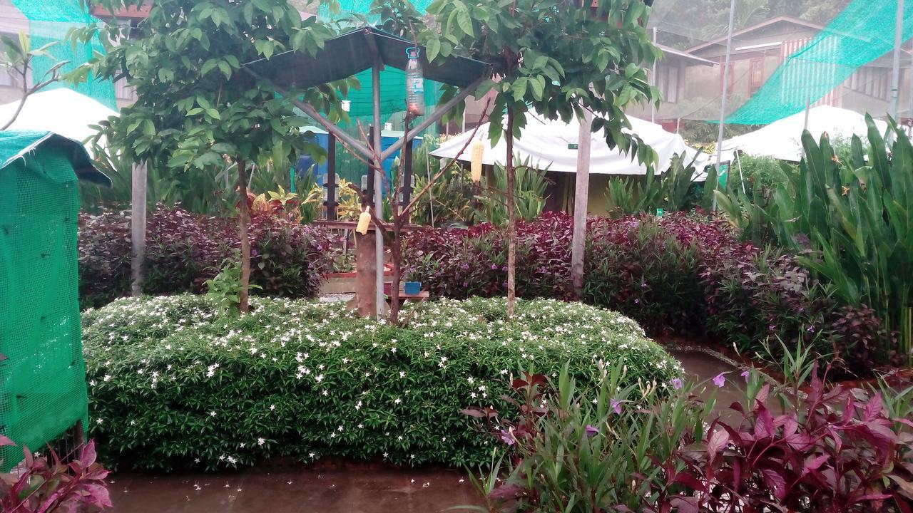 T Garden Villa Pantai Cenang  Exterior foto